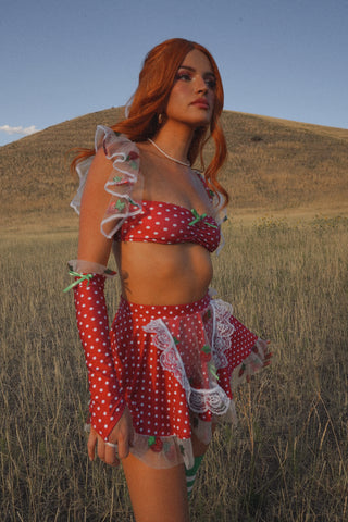 Strawberry Shortcake Set