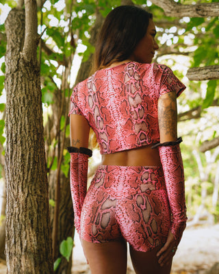 Predator Shorts